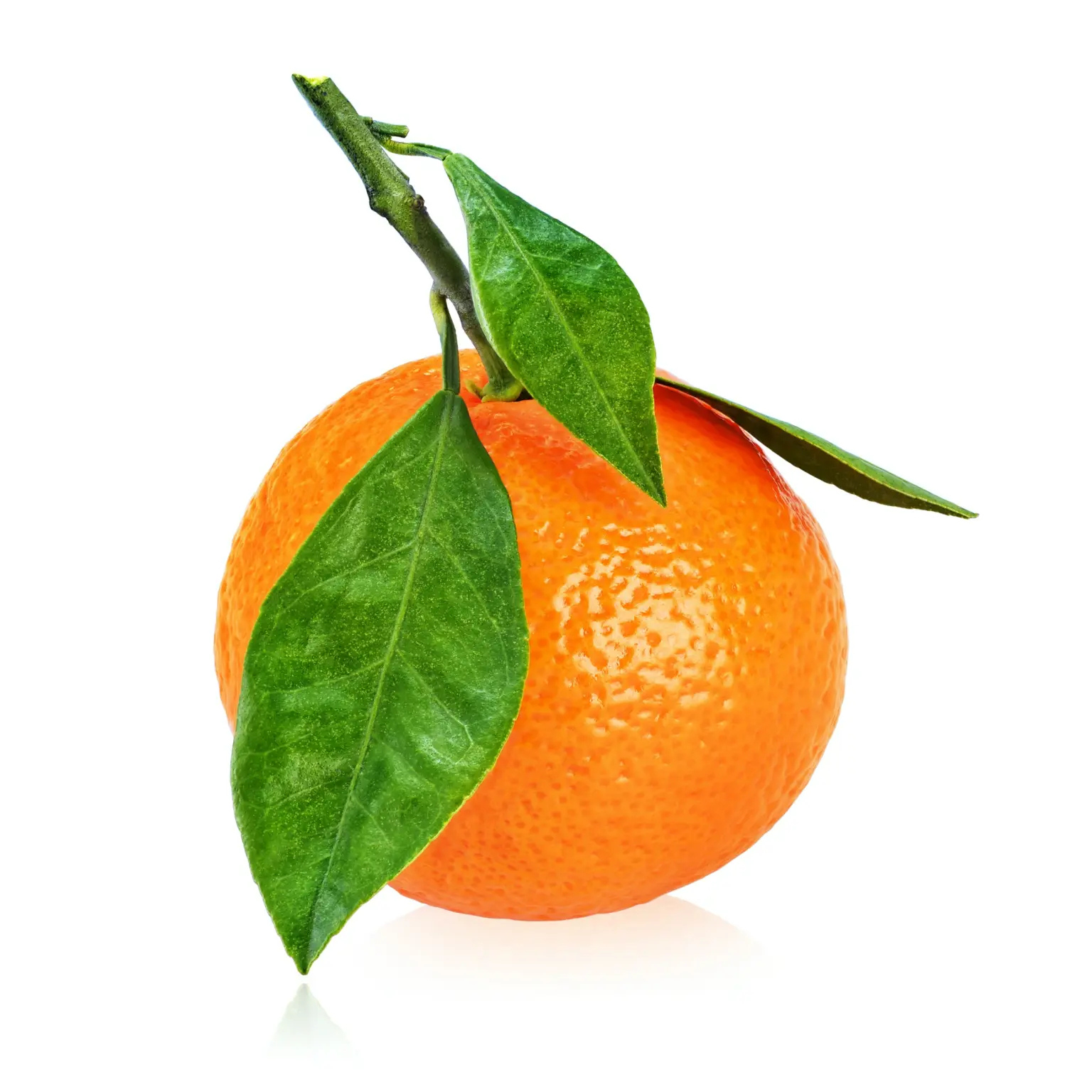 Mandarins