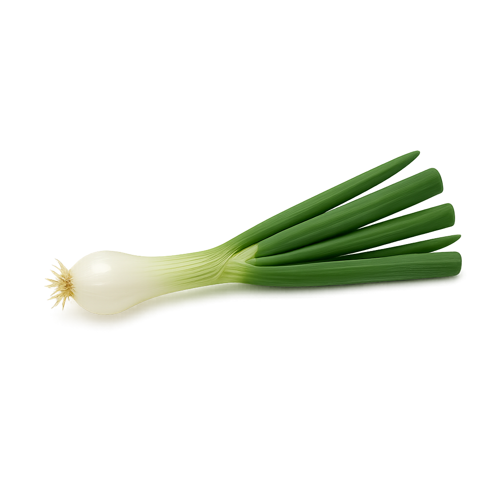 Spring Onion
