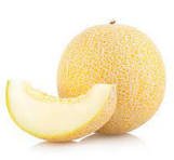 Cantaloupe