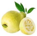 Guava