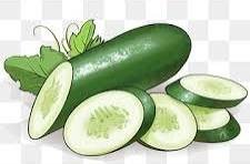 Cucumber