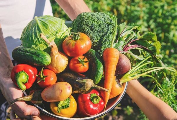 organic7 organic7