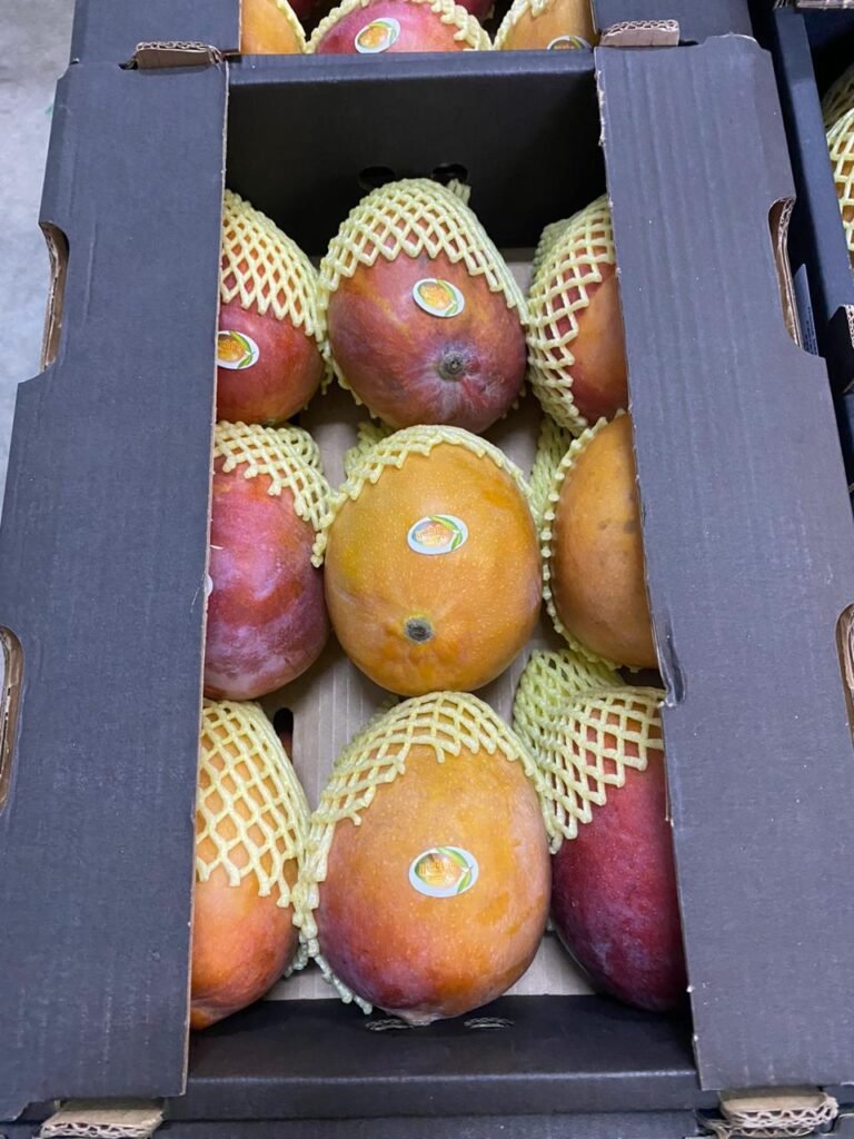 IMG-20251011-WA0028[1]