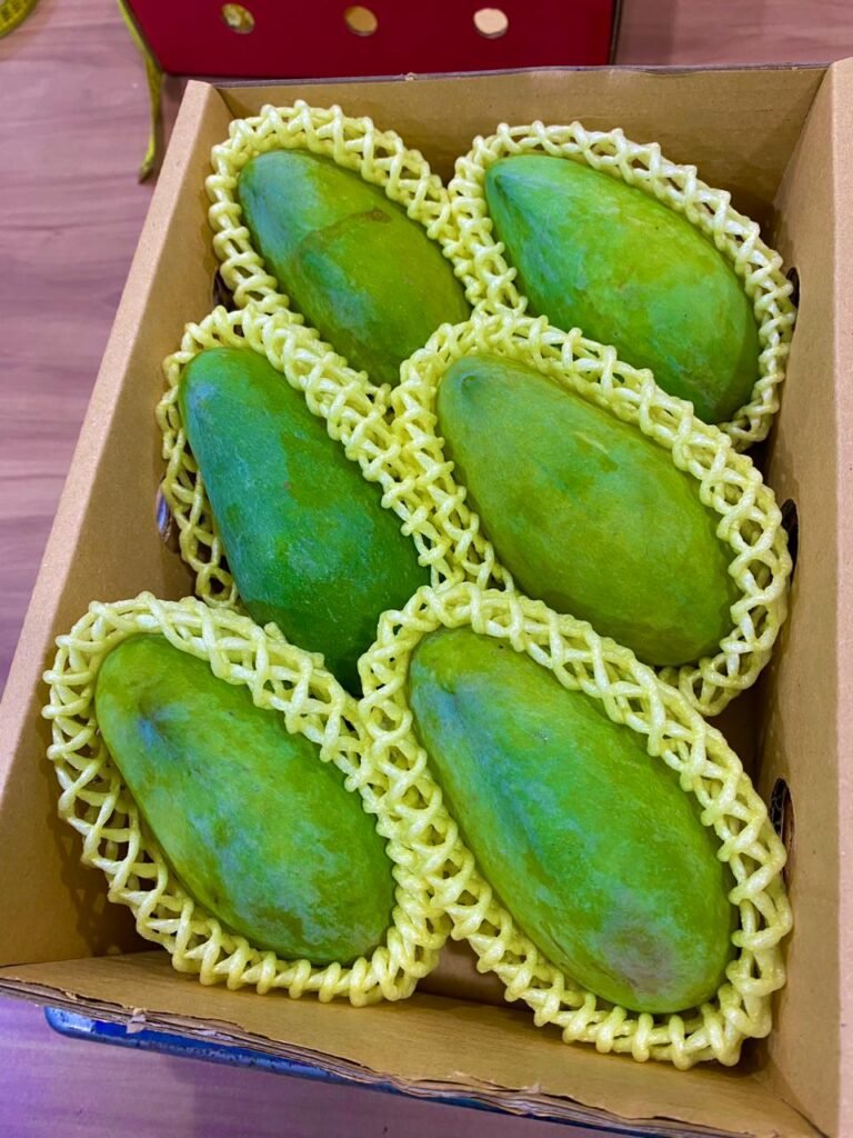 WhatsApp Image 2025-10-11 at 18.55.12_117a16e3