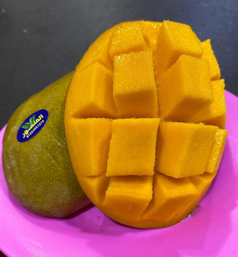 WhatsApp Image 2025-10-11 at 18.55.33_5a4ae605