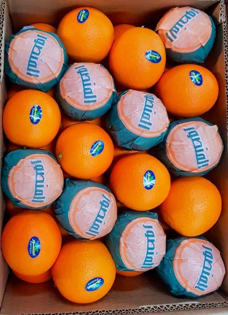 WhatsApp Image 2025-11-04 at 00.50.35_13260262