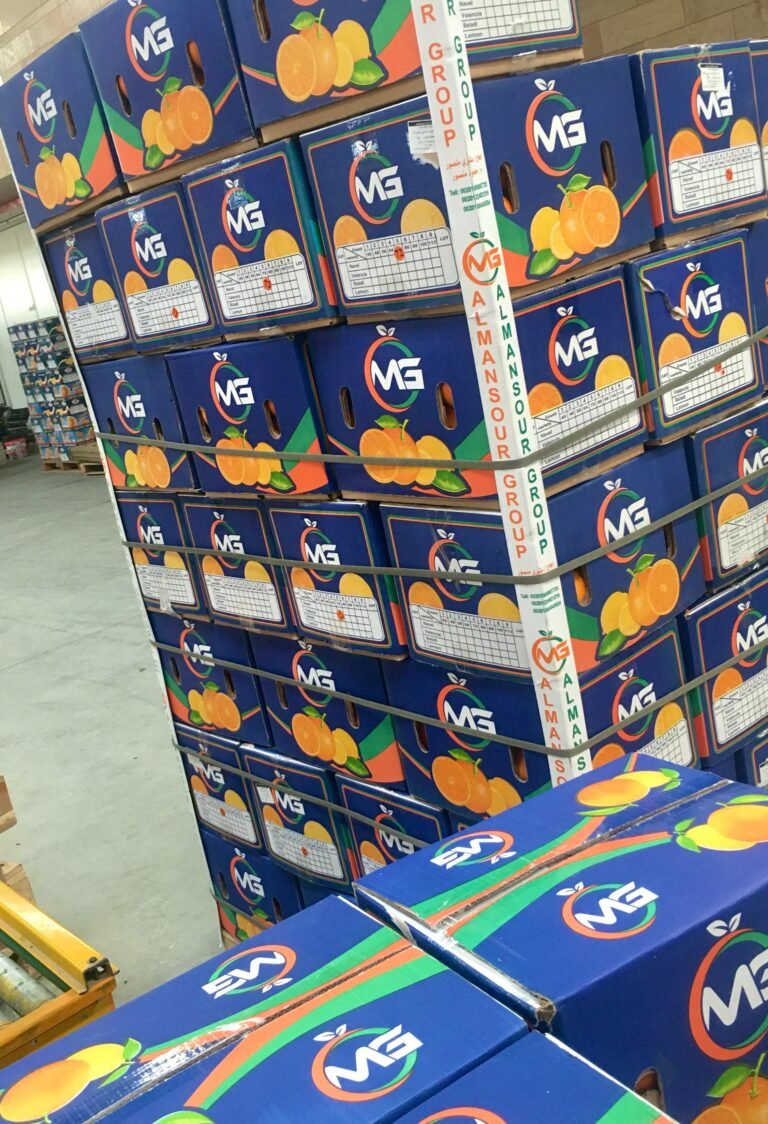 WhatsApp Image 2025-11-04 at 00.50.35_d3929380