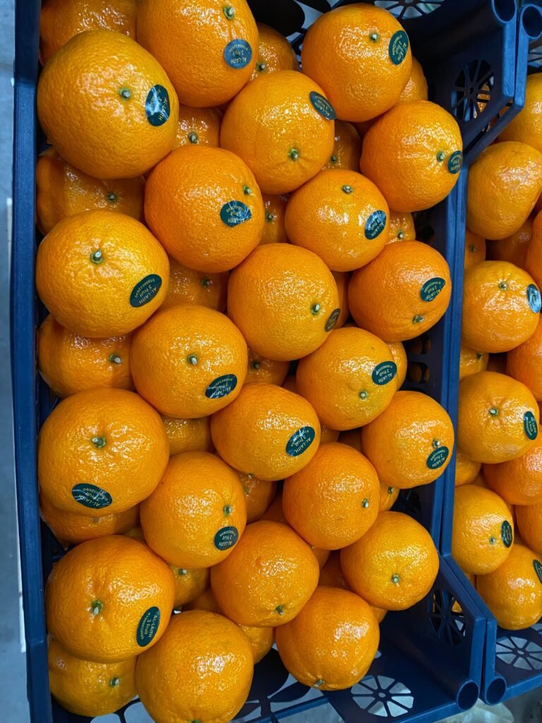 WhatsApp Image 2025-11-06 at 02.36.00_ac135aba