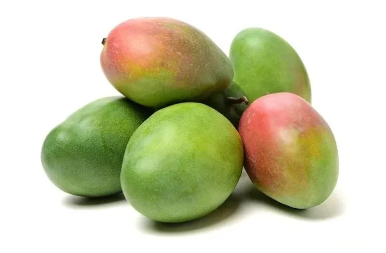 siddika-e1750249889514